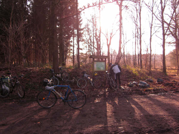 CTF-Kattendorf tierfreund23 (35)